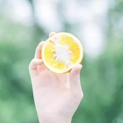 大发彩票appapp下载